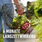 Preview: COMPO Garten Langzeit-Dünger für Gartenpflanzen, 6 Monate Langzeitwirkung, 2 kg, 37 m², 26050