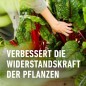 Preview: COMPO Garten Langzeit-Dünger für Gartenpflanzen, 6 Monate Langzeitwirkung, 2 kg, 37 m², 26050