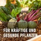 Preview: COMPO Garten Langzeit-Dünger für Gartenpflanzen, 6 Monate Langzeitwirkung, 2 kg, 37 m², 26050