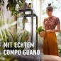 Preview: COMPO Grünpflanzen- und Palmen Düngestäbchen mit Guano, mit 3 Monaten Langzeitwirkung, 30 Stück, 12064