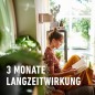 Preview: COMPO Grünpflanzen- und Palmen Düngestäbchen mit Guano, mit 3 Monaten Langzeitwirkung, 30 Stück, 12064