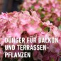 Preview: COMPO Qualitäts-Blumendünger mit extra Magnesium, 1 Liter, 14361