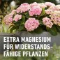 Preview: COMPO Qualitäts-Blumendünger mit extra Magnesium, 1 Liter, 14361