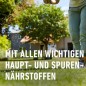 Preview: COMPO Rasendünger, Dünger mit 2-3 Monaten Langzeitwirkung, Feingranulat, 13 kg, 400 m², 20946