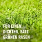Preview: COMPO Rasendünger, Dünger mit 2-3 Monaten Langzeitwirkung, Feingranulat, 13 kg, 400 m², 20946