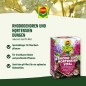 Preview: COMPO Rhodo- und Hortensien Vital, Spezial-Dünger, 1 kg, 21795