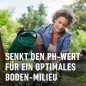 Preview: COMPO Rhodo- und Hortensien Vital, Spezial-Dünger, 1 kg, 21795