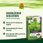 Preview: COMPO SAAT Nachsaat-Rasen, 1 kg, für 50 m², 13883