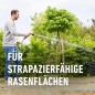 Preview: COMPO SAAT Rasen-Neuanlage-Mix, mit 3 Monaten Langzeitwirkung, 2,2 kg, 100 m², 10266