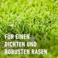 Preview: COMPO SAAT Rasen Reparatur Komplett-Mix+, 1,2 kg (6 m²), 21796