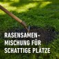 Preview: COMPO SAAT Schatten-Rasen, 1 kg, für 50 m², 13896