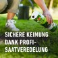 Preview: COMPO SAAT Schatten-Rasen, 300 g, für 15 m², 13895