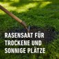 Preview: COMPO SAAT Trocken-Rasen, 2 kg, für 80 m², 23949