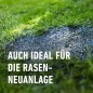 Preview: COMPO SAAT Trocken-Rasen, 2 kg, für 80 m², 23949