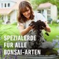 Preview: COMPO SANA Bonsaierde 5 L, mit 8 Wochen Nährstoffe, Für alle Zimmer- und Freiland-Bonsai, 5 Liter, 11602
