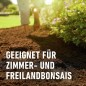 Preview: COMPO SANA Bonsaierde 5 L, mit 8 Wochen Nährstoffe, Für alle Zimmer- und Freiland-Bonsai, 5 Liter, 11602