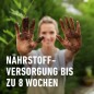 Preview: COMPO SANA Bonsaierde 5 L, mit 8 Wochen Nährstoffe, Für alle Zimmer- und Freiland-Bonsai, 5 Liter, 11602