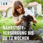 Preview: COMPO SANA Grünpflanzenerde und Palmenerde mit 12 Wochen Dünger, 5 Liter, 11420
