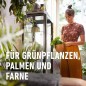 Preview: COMPO SANA Grünpflanzenerde und Palmenerde mit 12 Wochen Dünger, 5 Liter, 11420