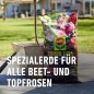 Preview: Compo SANA Rosenerde, für alle Beet- und Topfrosen, 20 Liter, 11631