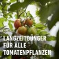 Preview: Compo Tomaten Langzeit-Dünger 850g, 26052