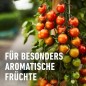 Preview: Compo Tomaten Langzeit-Dünger 850g, 26052