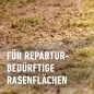Preview: COMPO Turbo Nachsaat, mit Keimsicherheit, 2,6 kg, 130 m², 23833