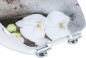 Preview: Cornat WC-Sitz Art of Acryl, MDF, oval, mit Softclose-Funktion, KSDSC309