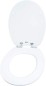 Preview: Cornat WC-Sitz Art of Acryl, MDF, oval, mit Softclose-Funktion, KSDSC309