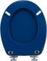 Preview: Cornat WC-Sitz Art of Acryl, MDF, oval, mit Softclose-Funktion, KSDSC320