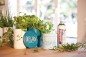 Preview: Edding Permanent Spray, Acryllack, 911 Petrol Matt 200 ml, 95676