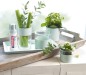 Preview: Edding Permanent Spray, Acryllack, 928 Mild Mint Matt 200 ml, 497411