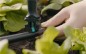 Preview: Gardena Verlegerohr Flex 13 mm (1/2´´), 50 m, 1347-20
