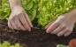 Preview: Gardena Verteilerrohr 4,6 mm (3/16´´), 15 m, 1350-20