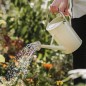 Preview: Kent & Stowe 4,5 Liter Vintage Gießkanne in Creme, 735906
