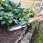 Preview: Kent & Stowe Multifunktionsunkrautjäter, Edelstahl, Stiel aus Eschenholz, 33,5 cm, 735470