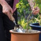 Preview: Kent & Stowe Pflanzschaufel, Edelstahl, Griff aus Eschenholz, 33 cm, 732752