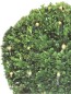 Preview: koopman Lichterkette für Buchsbaum - 100 LED`s, Ø90cm, warmweißes Licht, AX8401320