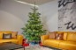 Preview: Krinner Christbaumständer Baum Fix Aqua 220, 3 Liter, für Bäume bis 220 cm, 90220