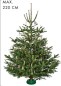 Preview: Krinner Christbaumständer Baum Fix Aqua 220, 3 Liter, für Bäume bis 220 cm, 90220