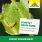 Preview: Neudorff Aurum InsektenLeim, schützt vor hochkriechenden Pflanzenschädlingen, 125 g, 3016