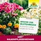 Preview: Neudorff Azet BalkonpflanzenDünger – 100% natürlicher Bio Dünger für üppig blühende Balkonkästen und Kübel und reiche Ernte aller Balkonpflanzen, 1 Liter 1420