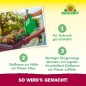 Preview: Neudorff Azet BalkonpflanzenDünger – 100% natürlicher Bio Dünger für üppig blühende Balkonkästen und Kübel und reiche Ernte aller Balkonpflanzen, 2 Liter 1434