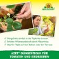 Preview: Neudorff Azet DüngeSticks für Tomaten und Erdbeeren – Bio Düngestäbchen für viele leckere Tomaten und Erdbeeren mit 2 Monaten Langzeitwirkung, 40 Sticks 1415