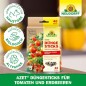 Preview: Neudorff Azet DüngeSticks für Tomaten und Erdbeeren – Bio Düngestäbchen für viele leckere Tomaten und Erdbeeren mit 2 Monaten Langzeitwirkung, 40 Sticks 1415