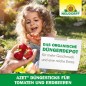 Preview: Neudorff Azet DüngeSticks für Tomaten und Erdbeeren – Bio Düngestäbchen für viele leckere Tomaten und Erdbeeren mit 2 Monaten Langzeitwirkung, 40 Sticks 1415