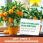 Preview: Neudorff Azet Zitrusdünger und mediterraner PflanzenDünger 1L flüssig - 100% natürlich, 01465