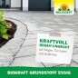 Preview: Neudorff BioKraft Grundstoff Essig – 100% natürlicher, anwendungsfertiger Unkrautvernichter, 1 Liter Spray, 1994