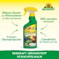 Preview: Neudorff BioKraft Grundstoff Schachtelhalm, gegen Pilzkrankheiten an Obst und Gemüse, 500 ml, 1995
