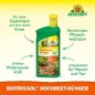 Preview: Neudorff BioTrissol Hochbeet-Dünger, für eine aromatische Ernte aus dem Hochbeet, 1L 2023 1359